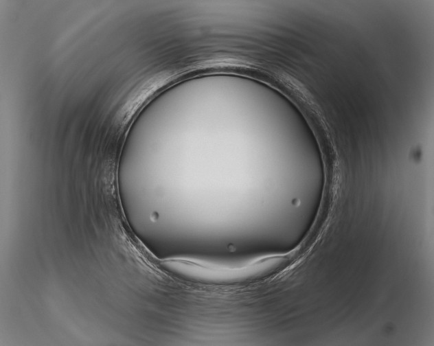 X0000115691321200912031433