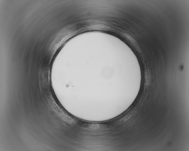 X0000115691322200912031433