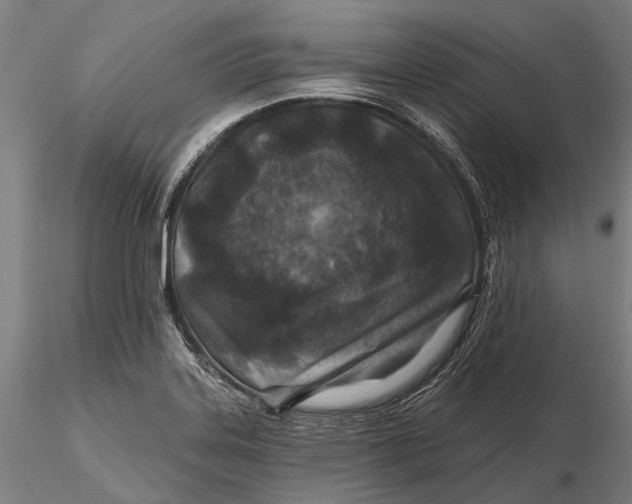 X0000115691323200912031433