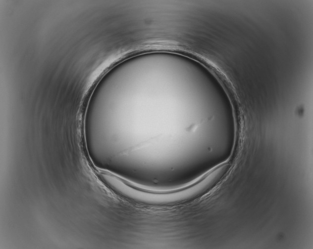 X0000115691325200912031433