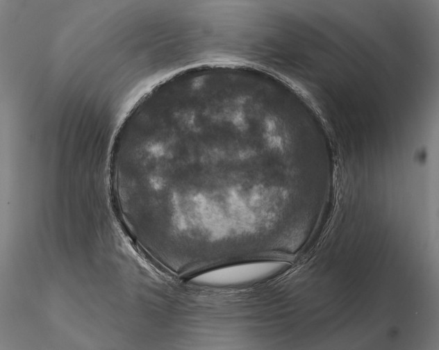 X0000115691327200912031433