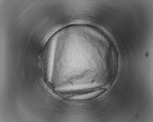 X0000115691329200912031433