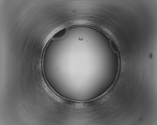 X0000115691330200912031433