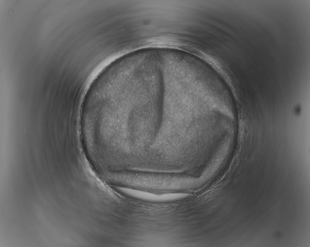 X0000115691331200912031433