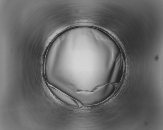 X0000115691333200912031433