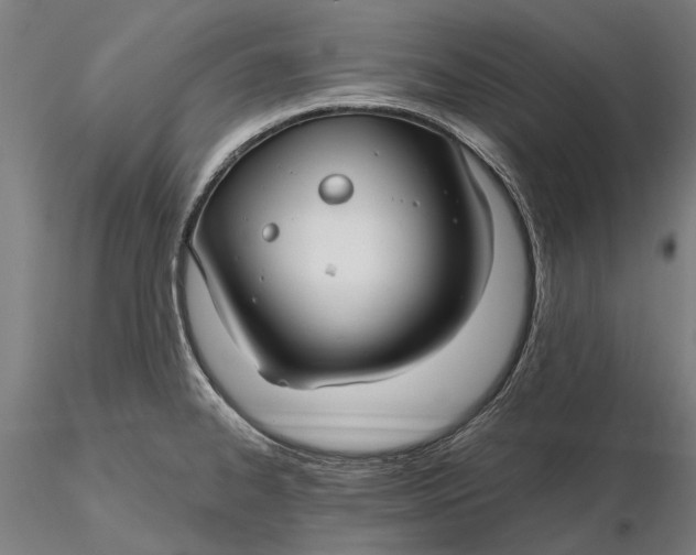 X0000115691334200912031433