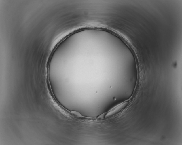 X0000115691335200912031433