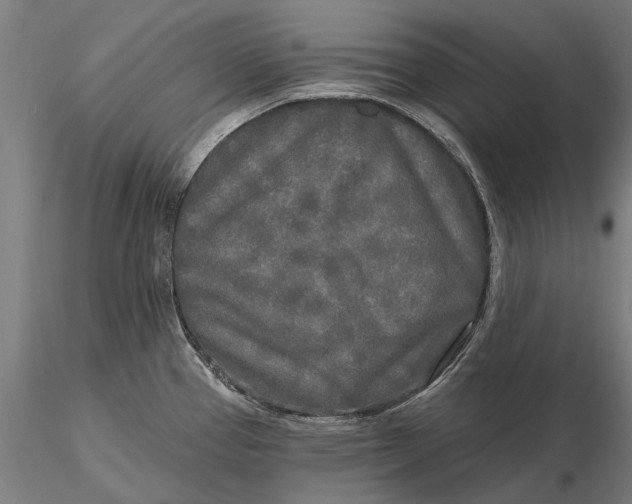 X0000115691337200912031434