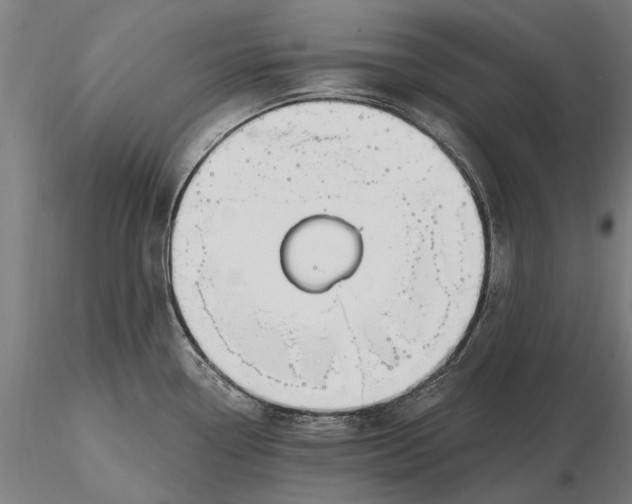 X0000115691338200912031434