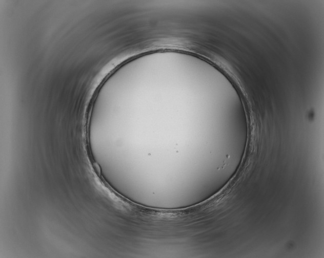 X0000115691339200912031434