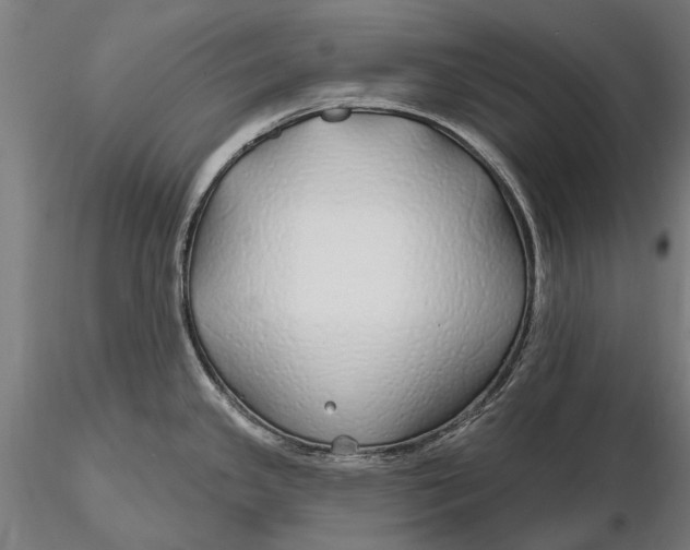 X0000115691341200912031434