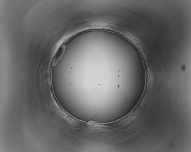 X0000115691342200912031434