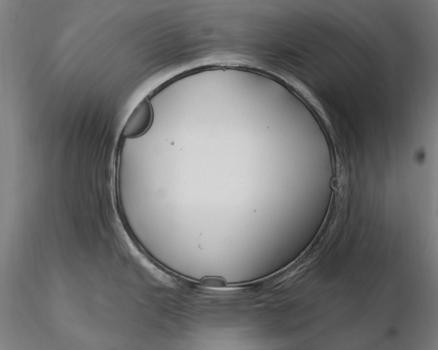 X0000115691343200912031434