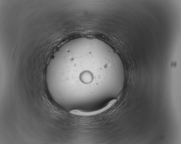 X0000115691345200912031433