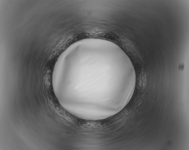 X0000115691346200912031433