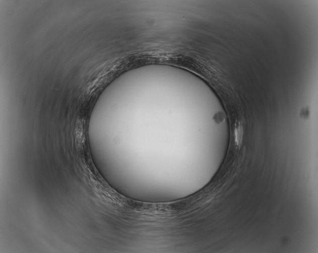 X0000115691347200912031433