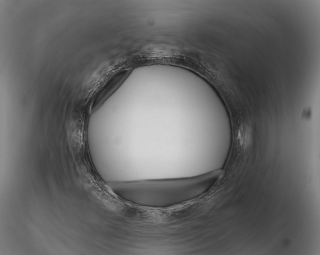 X0000115691348200912031433