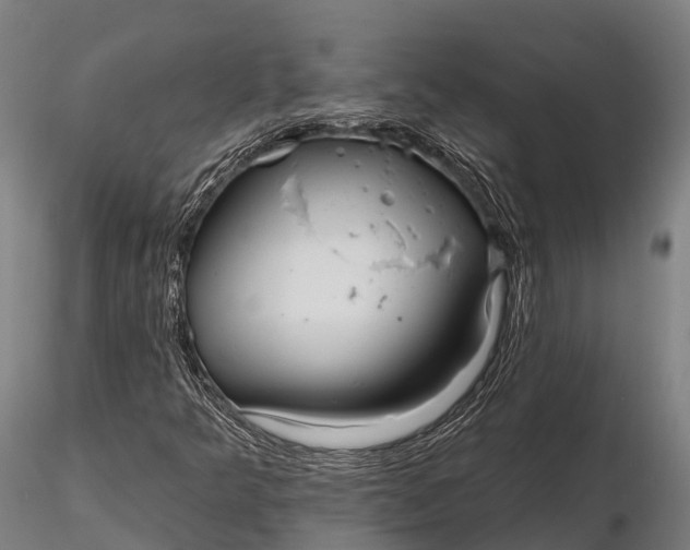 X0000115691349200912031433