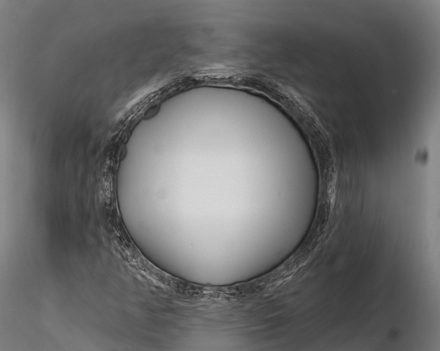 X0000115691350200912031433