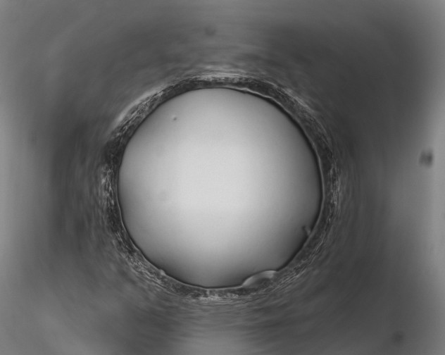 X0000115691351200912031433