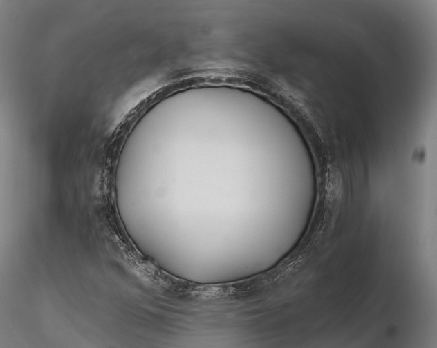 X0000115691352200912031433