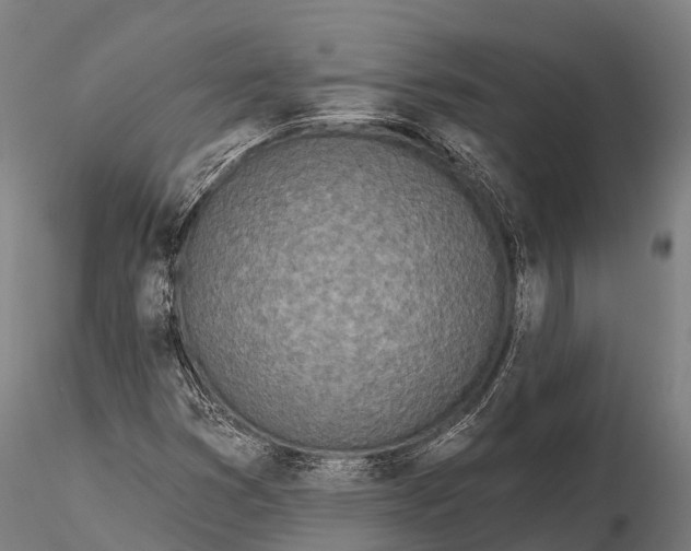 X0000115691353200912031433