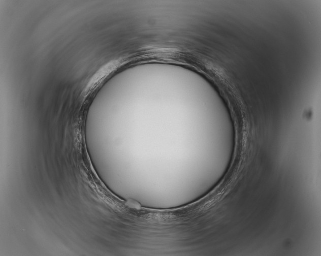 X0000115691354200912031433