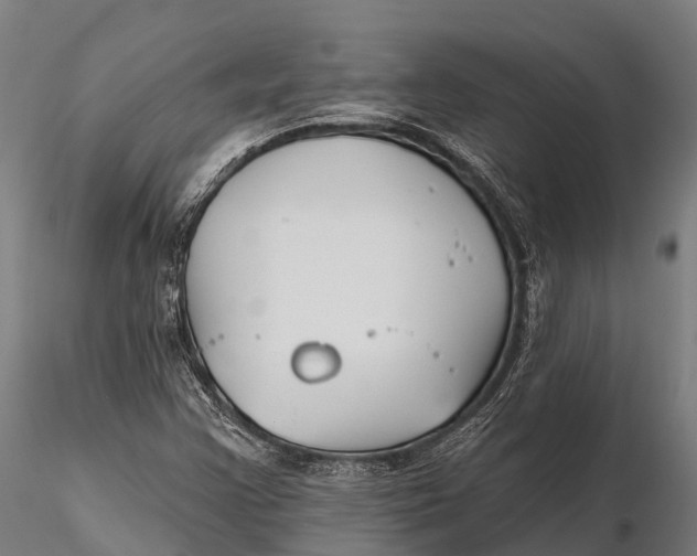 X0000115691355200912031433