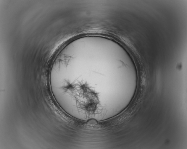 X0000115691356200912031433