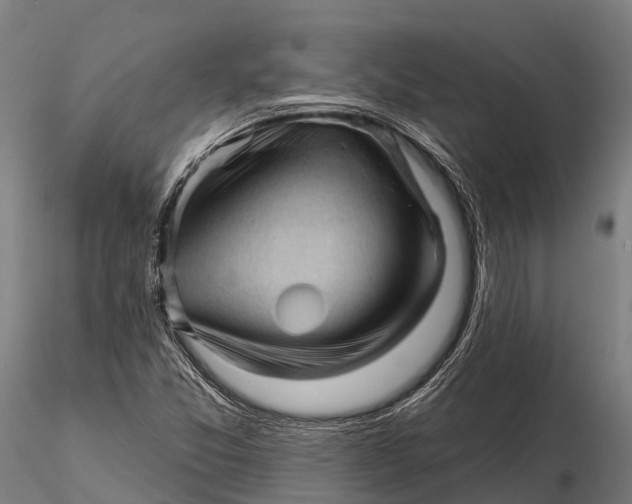 X0000115691357200912031433