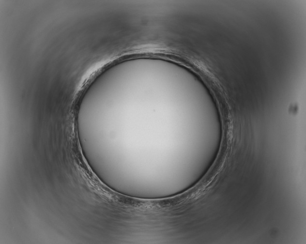 X0000115691358200912031433