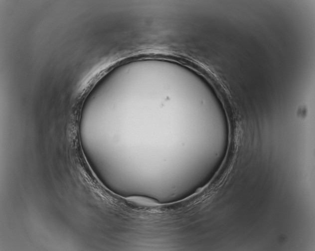 X0000115691359200912031433