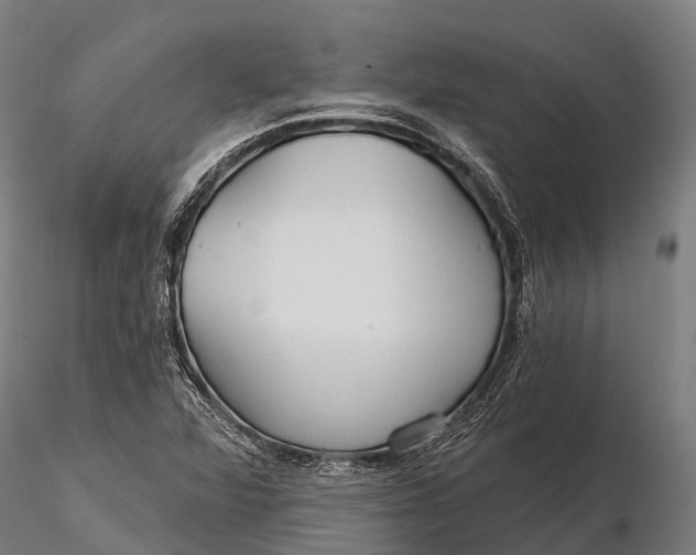 X0000115691360200912031433