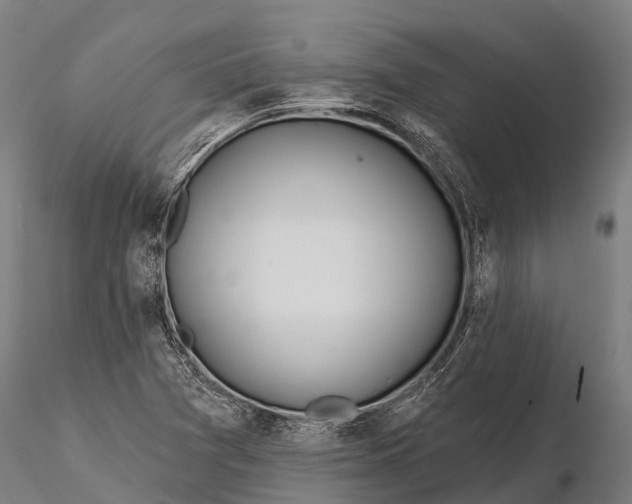 X0000115691361200912031433