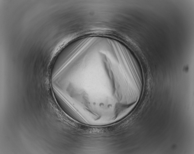 X0000115691362200912031433