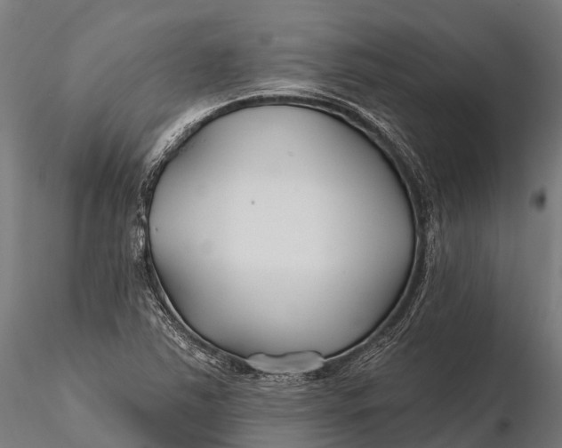 X0000115691363200912031433