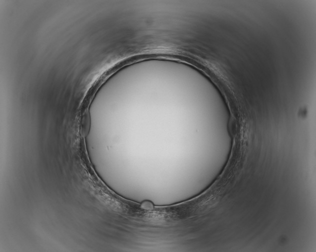 X0000115691364200912031433