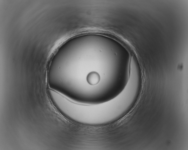 X0000115691365200912031433