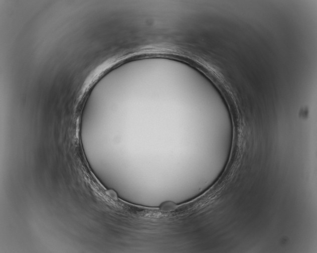 X0000115691366200912031433