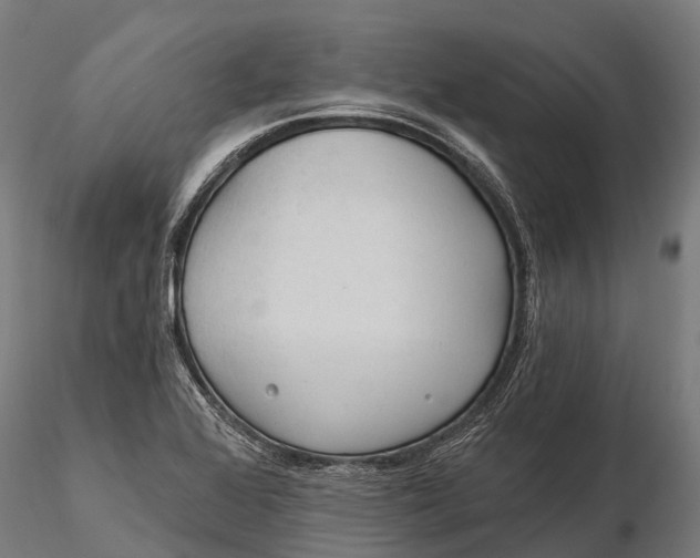 X0000115691368200912031432