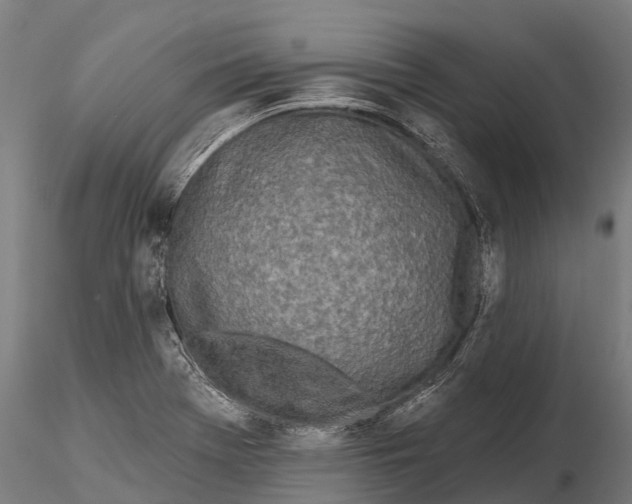 X0000115691369200912031432