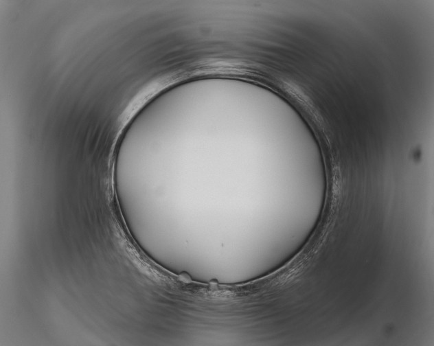 X0000115691370200912031432