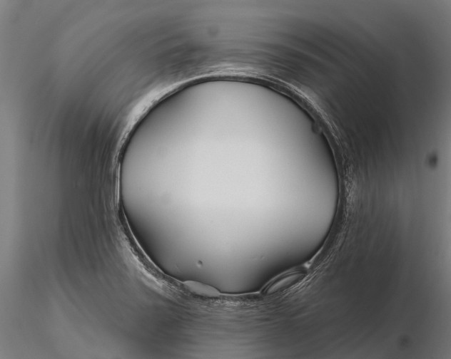 X0000115691371200912031432