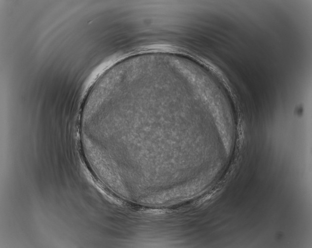 X0000115691373200912031432