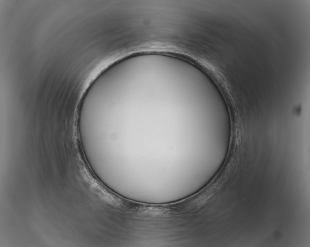 X0000115691374200912031432