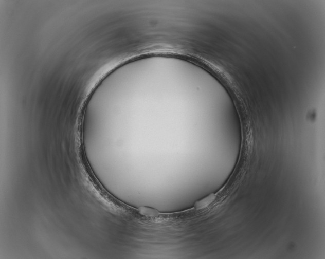 X0000115691375200912031432