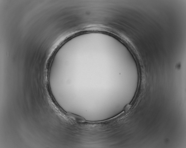 X0000115691376200912031432