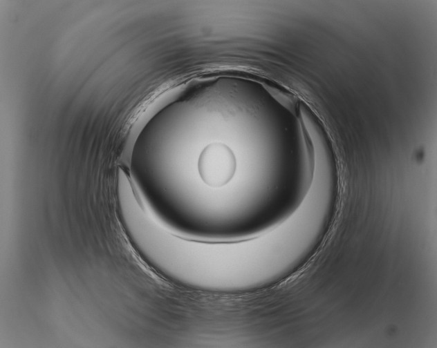 X0000115691377200912031432