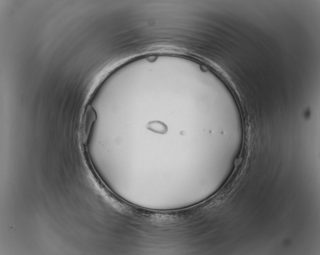 X0000115691379200912031432