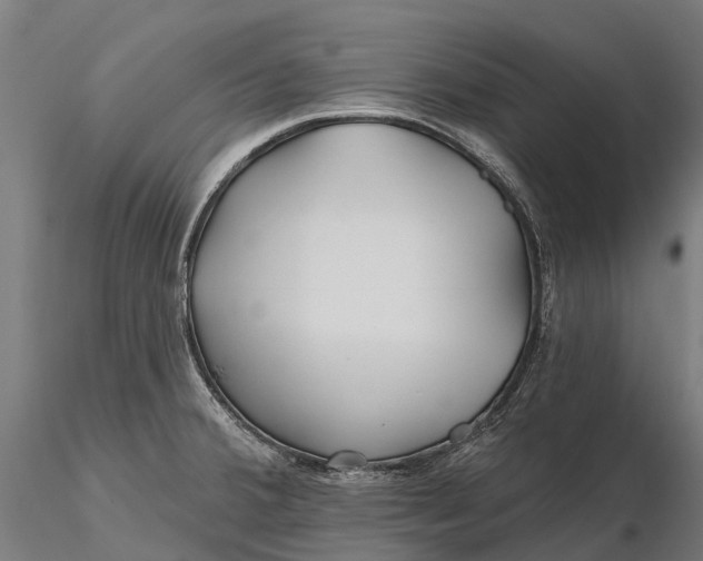 X0000115691380200912031432